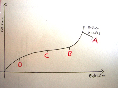 How To Draw A Graph For Young S Modulus For A Stretched Rubber Band That Is Under A Constant Force Quora